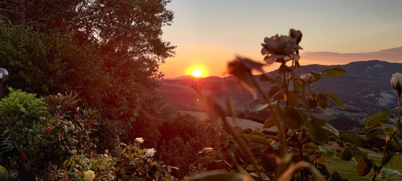 La Terrazza Del Subasio