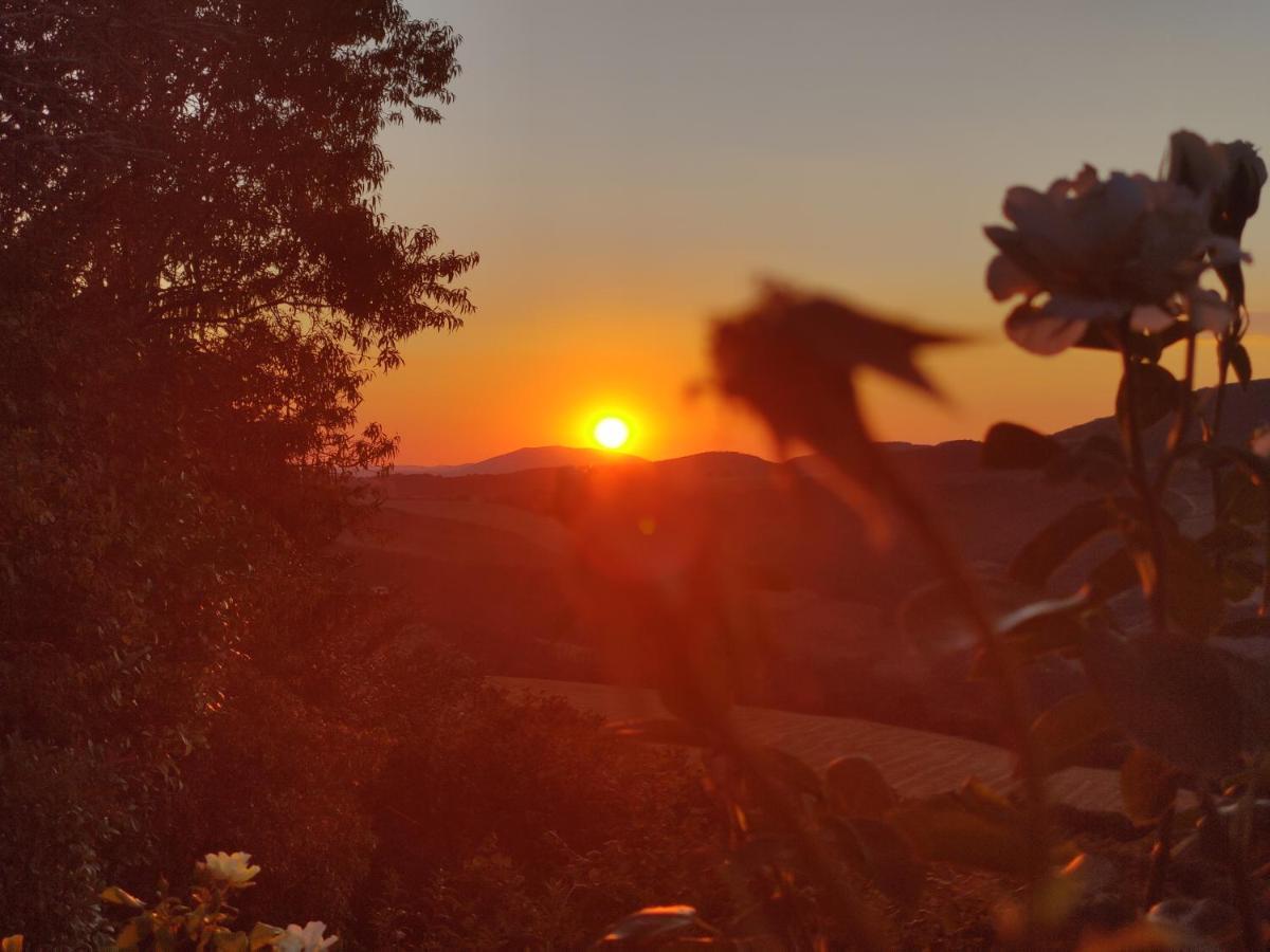 Bed & Breakfast La Terrazza Del Subasio