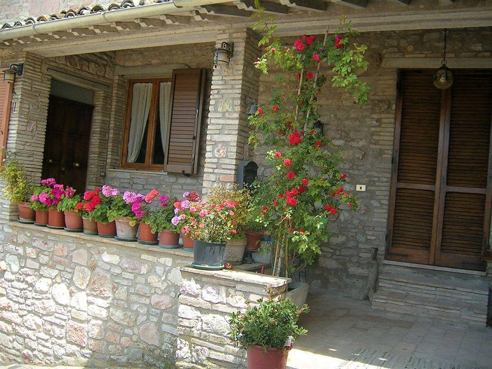 La Terrazza Del Subasio Assisi