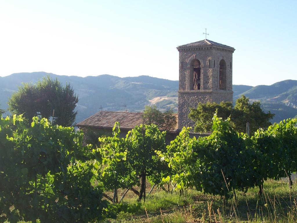 La Terrazza Del Subasio Bed & Breakfast 2*